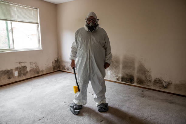 Best Mold Remediation for Healthcare Facilities  in Fernandina Beach, FL