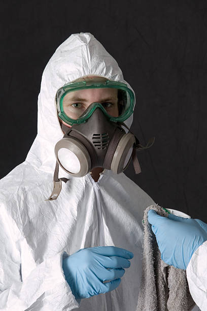 Best Biohazard Mold Removal  in Fernandina Beach, FL